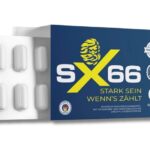 SX66
